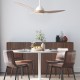 Stropní ventilátor s LED osvětlením a dálkovým ovládáním FANKVN30G, Ф132, DC40W | Stropní ventilátory | Ventilátory |